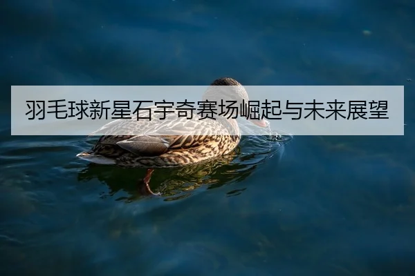羽毛球新星石宇奇赛场崛起与未来展望